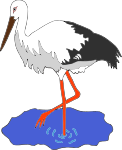 Kress's stork in a pond vectorized